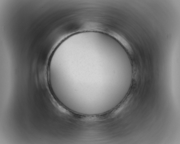 X0000115501094200911131316