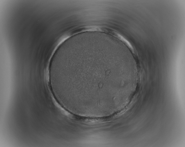 X0000115501095200911131316