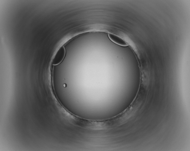 X0000115501096200911131316