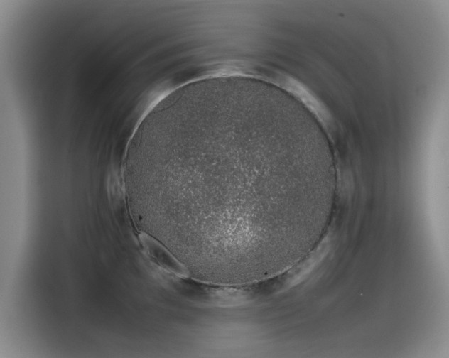 X0000115501097200911131316