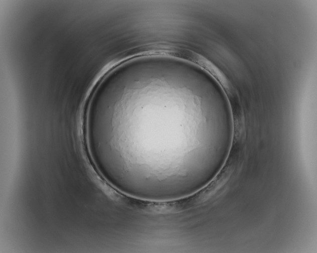 X0000115501099200911131316