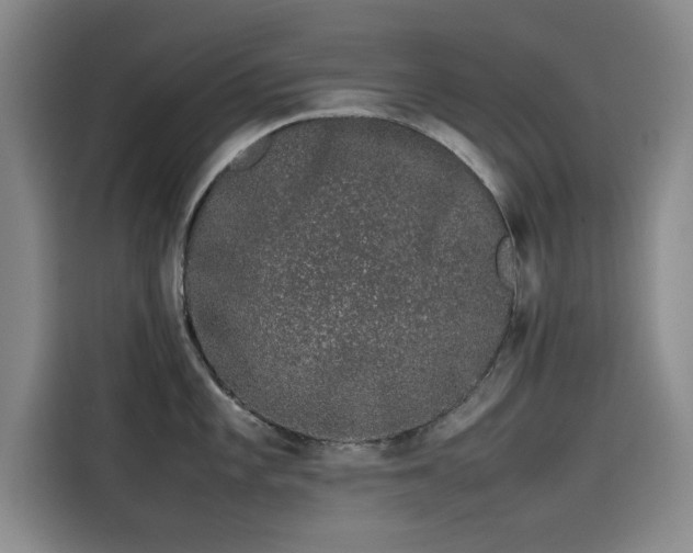 X0000115501101200911131316