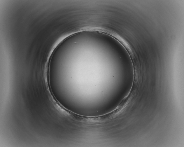 X0000115501102200911131316