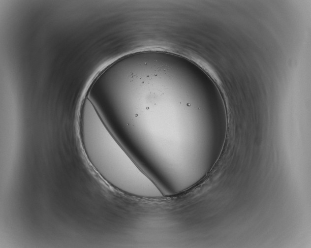 X0000115501104200911131316