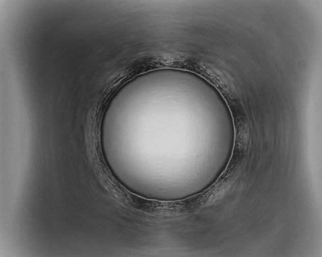 X0000115501105200911131315