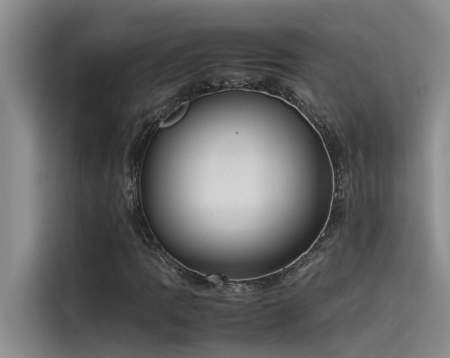 X0000115501109200911131315