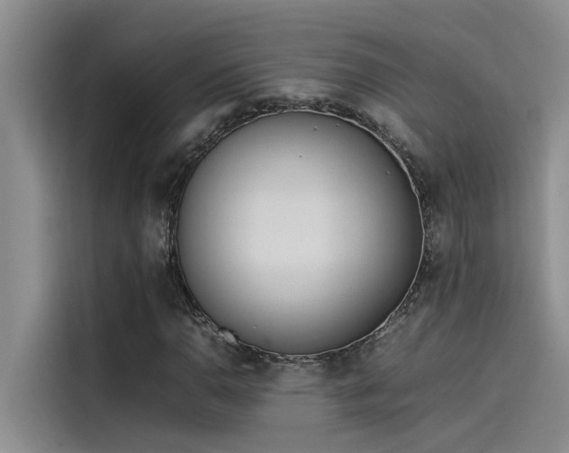 X0000115501110200911131315