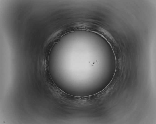 X0000115501111200911131315