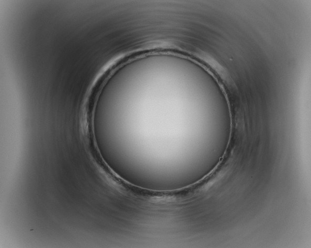 X0000115501118200911131315