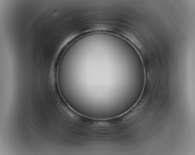 X0000115501119200911131315