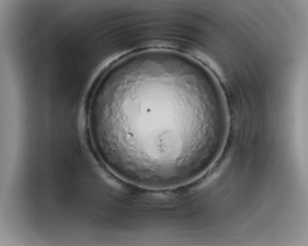 X0000115501125200911131315