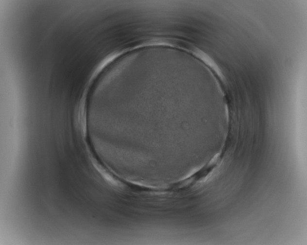 X0000115501127200911131315