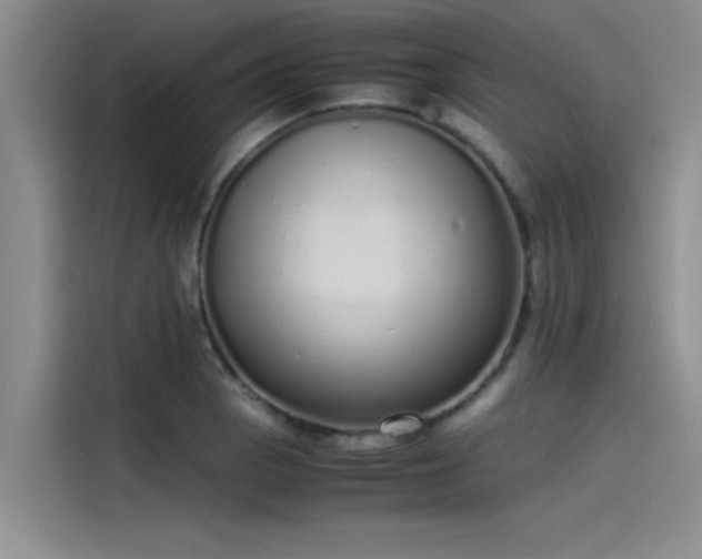 X0000115501129200911131315