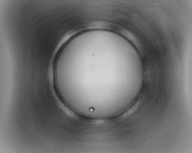 X0000115501130200911131315