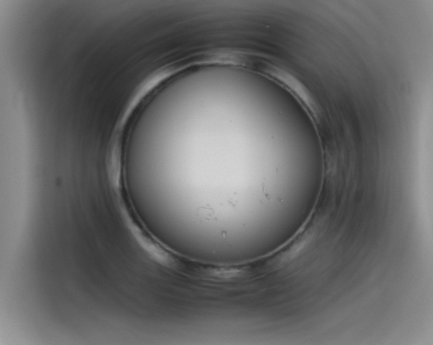 X0000115501131200911131315