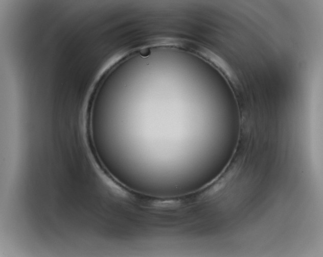 X0000115501135200911131316