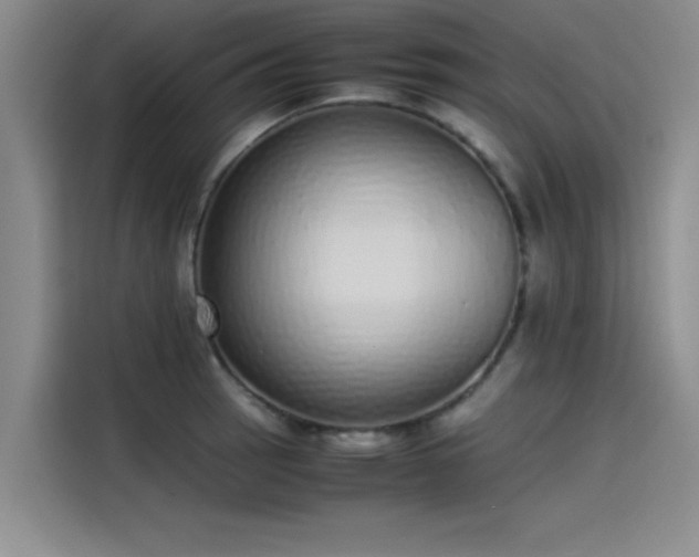 X0000115501137200911131316