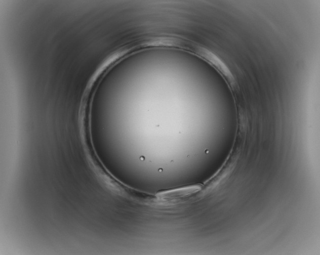 X0000115501138200911131316