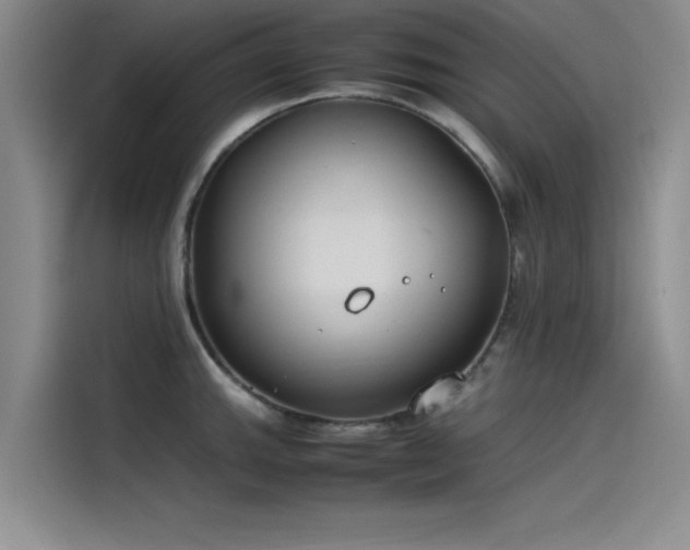 X0000115501143200911131316