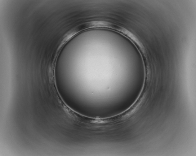 X0000115501145200911131316