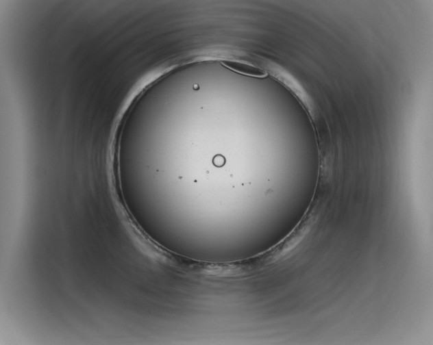 X0000115501146200911131316