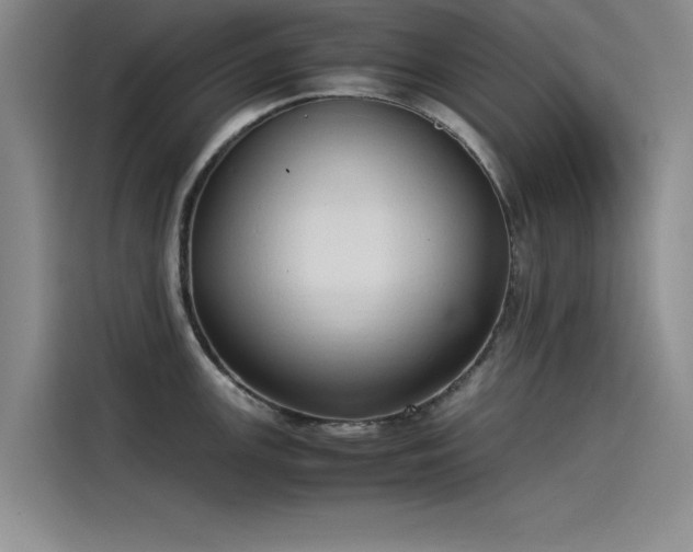 X0000115501147200911131316