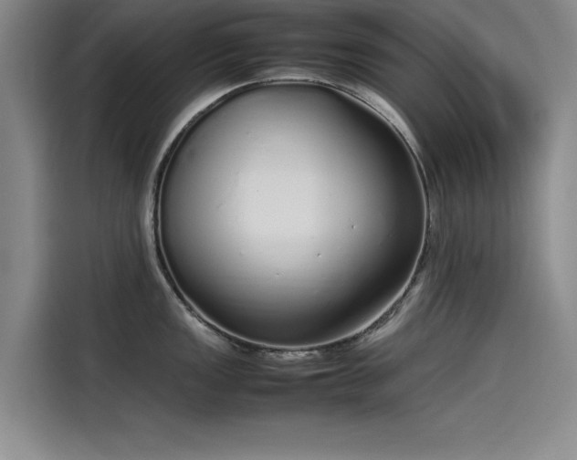 X0000115501149200911131316