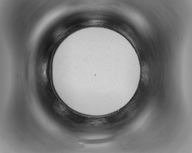 X0000115501150200911131316