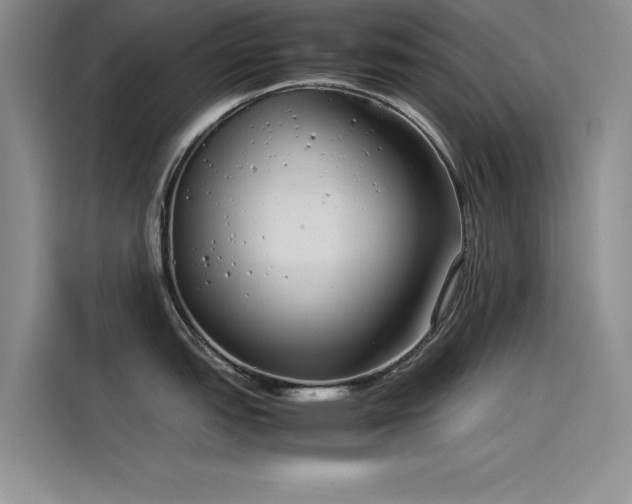 X0000115501151200911131316