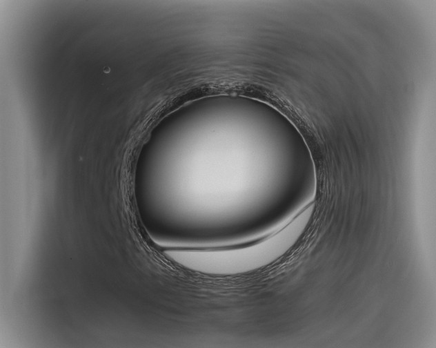 X0000115501153200911131315
