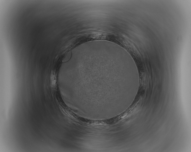 X0000115501154200911131315