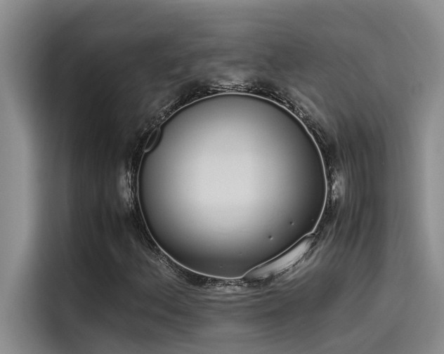 X0000115501156200911131315