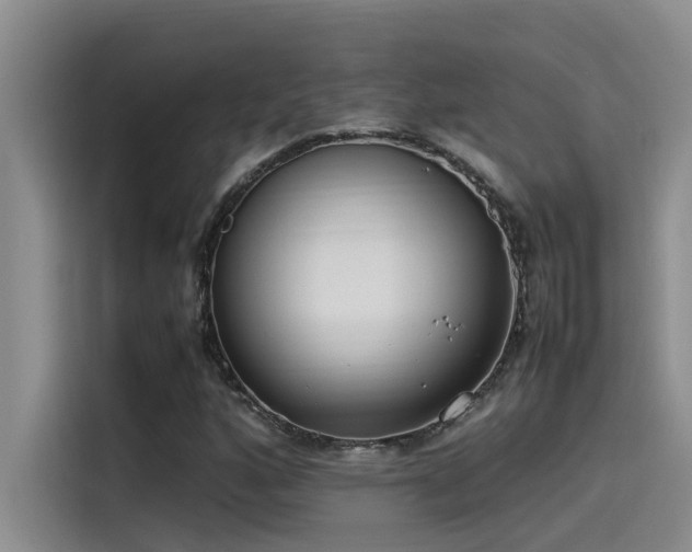 X0000115501160200911131315
