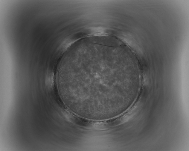 X0000115501161200911131315