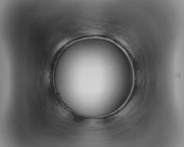 X0000115501163200911131315