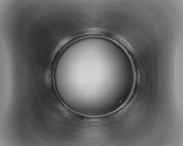 X0000115501164200911131315