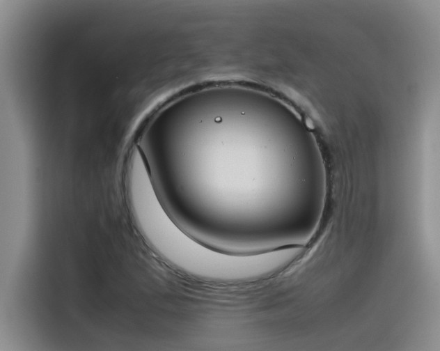 X0000115501167200911131315