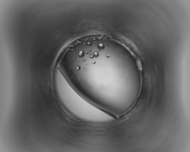 X0000115501168200911131315