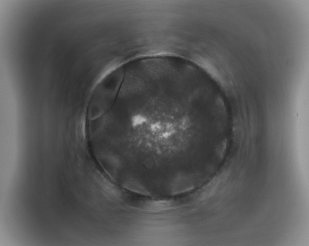 X0000115501173200911131315