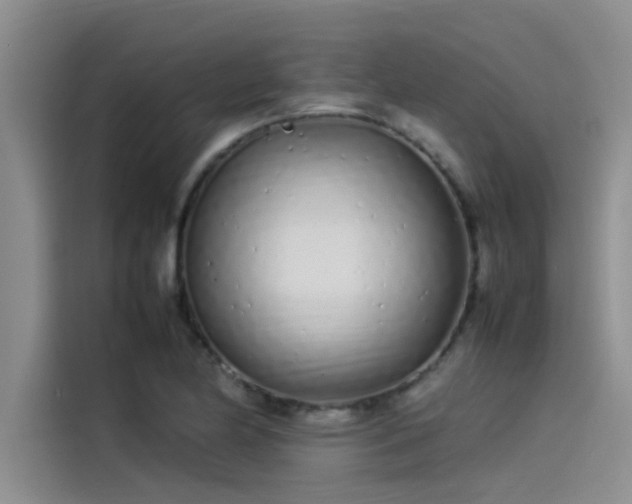 X0000115501174200911131315