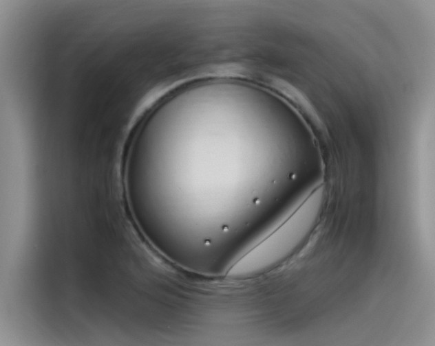 X0000115501176200911131315