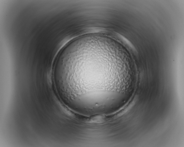 X0000115501178200911131315