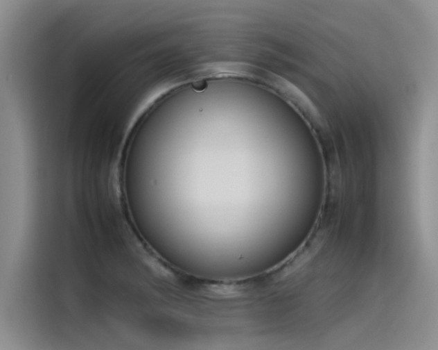 X0000115501182200911131315