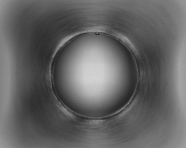 X0000115501184200911131315
