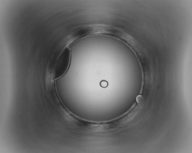 X0000115501185200911131315