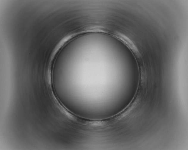 X0000115501188200911131315