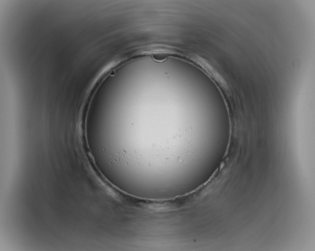 X0000115501189200911131315