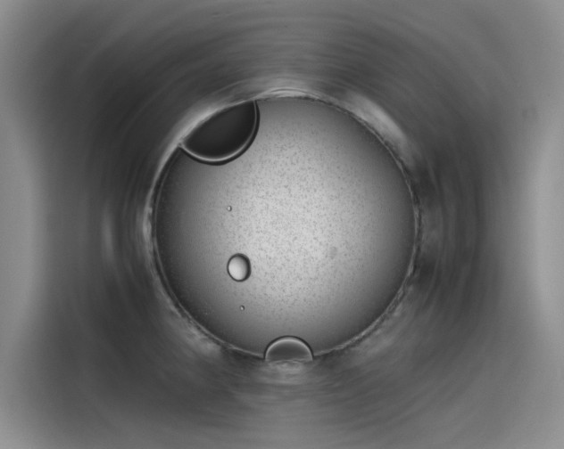 X0000115501190200911131315