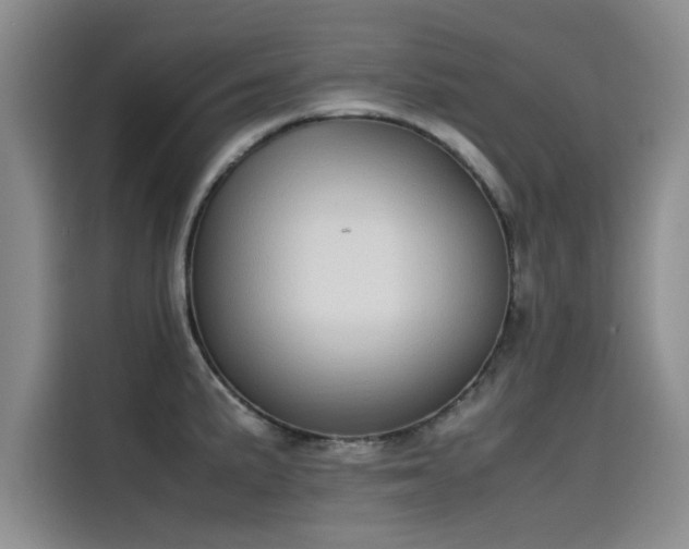 X0000115501191200911131315