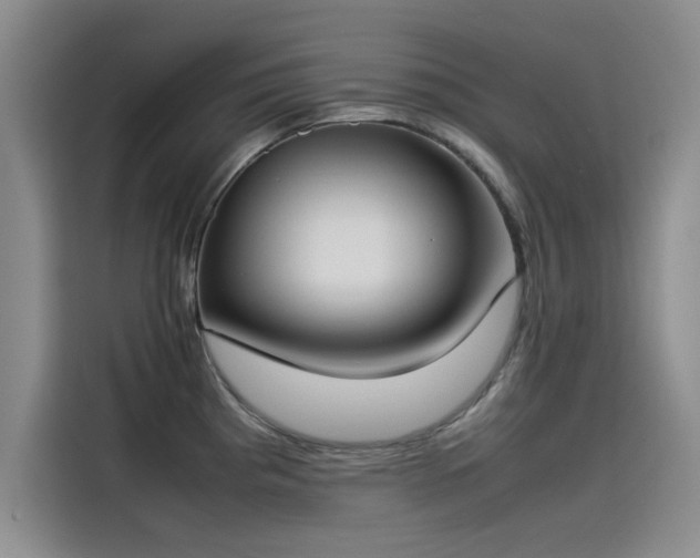 X0000115501193200911131315
